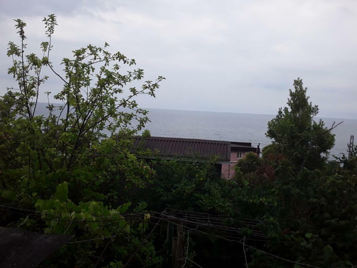 Zeleniy Dvorik Guest House New Athos Exterior foto